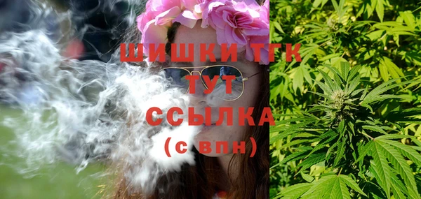 молекула духа Алексин
