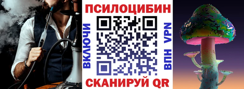 Галлюциногенные грибы Psilocybe  ОМГ ОМГ как зайти  дарк нет наркотические препараты  Александровское 