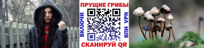 Псилоцибиновые грибы мухоморы Александровское